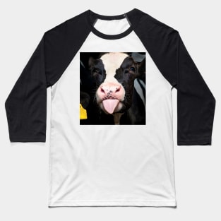 Close Up Of Little Calf Cow Funny Cute Cow Baseball T-Shirt